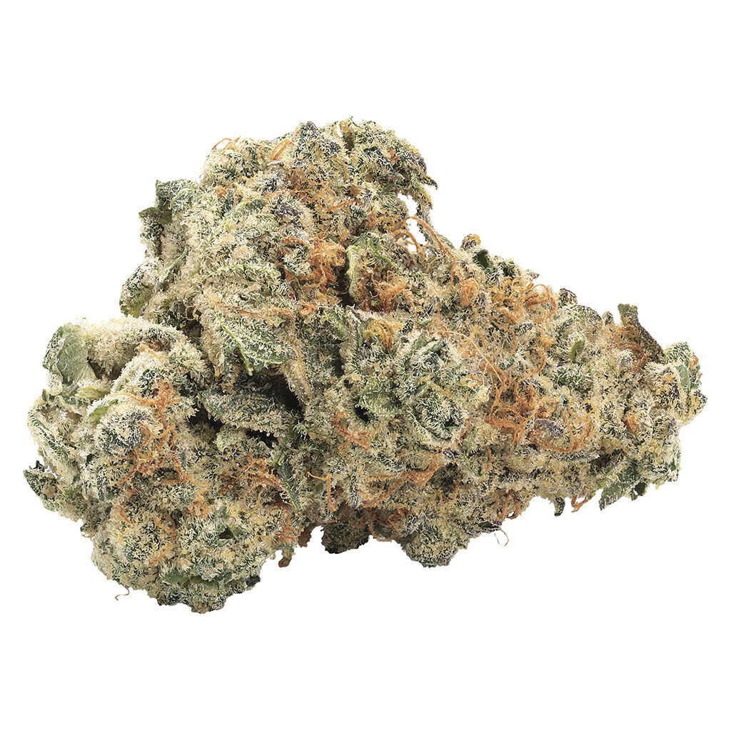 GMO Kush Indica 3.5g Dried Flower F146